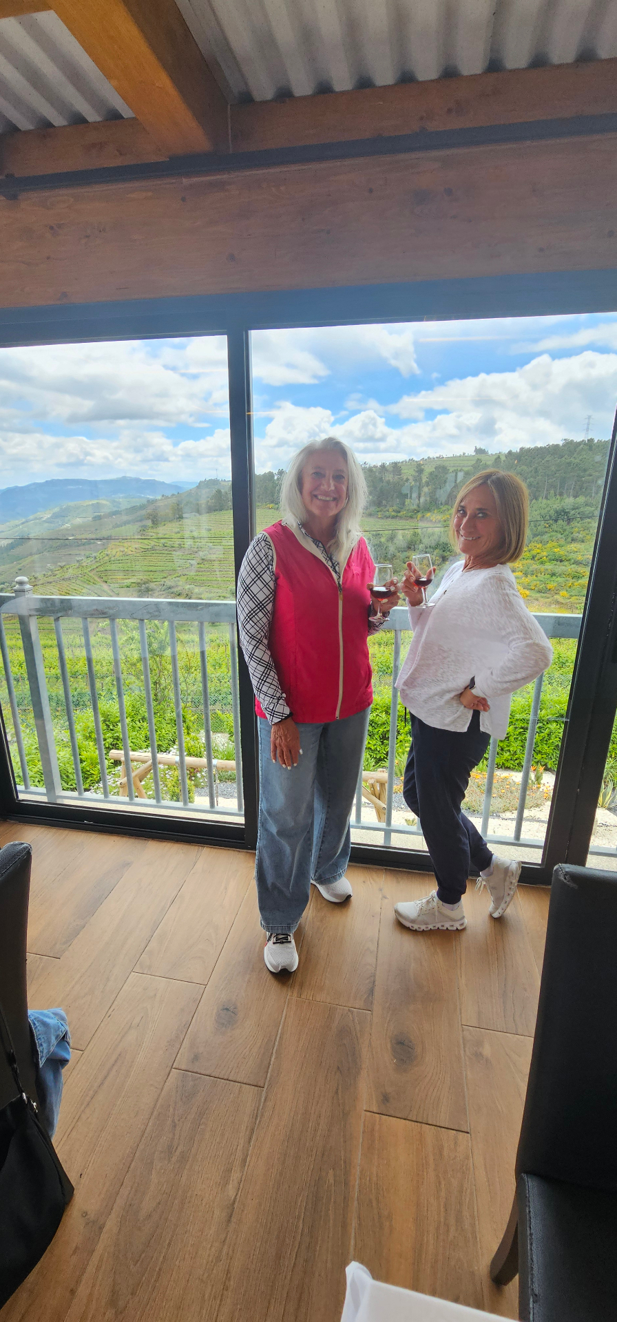 Private Douro Valley Wine Tour from Porto — private tour in Portugal with a local driver-guide
